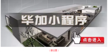 畢加邂逅小“情人”，那就再愛一次吧